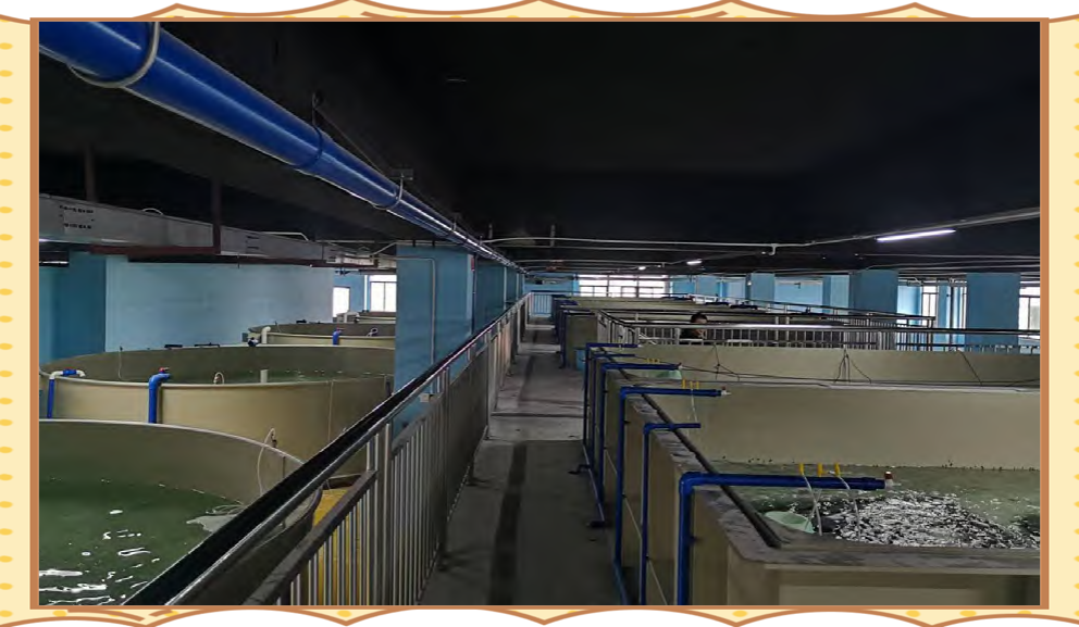 工廠化多層立體水產養殖系統設計及其優勢——內陸水產養殖銷售新突破