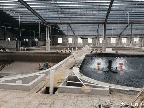水產養殖必備海峽養殖漆,科技助漁增產增收