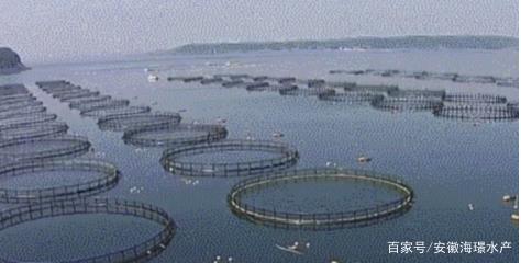 科技創新，引領內陸水產養殖銷售新“時代”