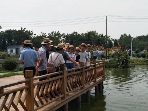 水產綠色健康養殖“五大行動”暨規范用藥科普下鄉活動在我縣舉行